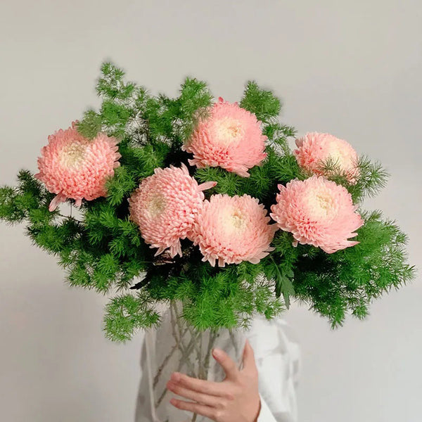 Rare Blue and White Porcelain Pink Peony Chrysanthemum Seeds