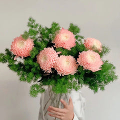 Rare Blue and White Porcelain Pink Peony Chrysanthemum Seeds