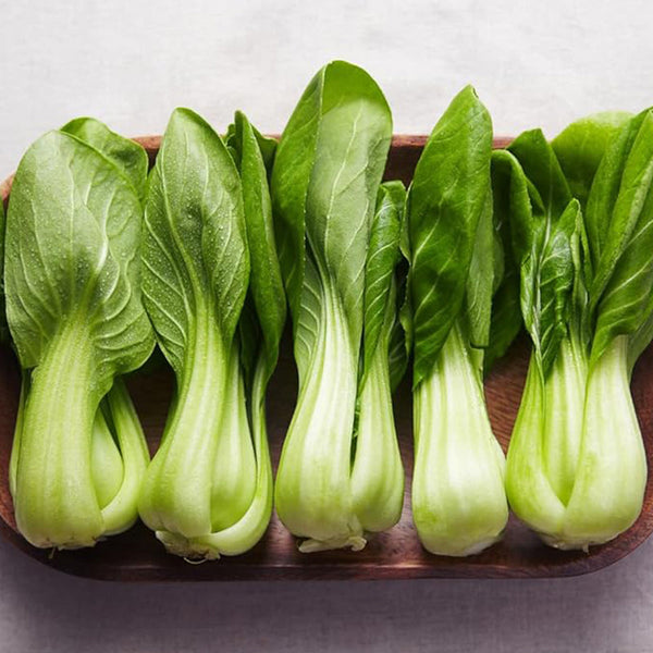 Bok Choy Seeds for Planting Cải Thìa AKA. Pak Choi, Chinese Cabbage, Bok Choi