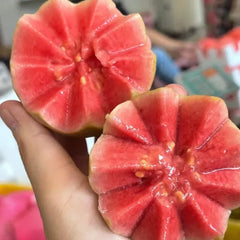 Tropical Strawberry Guava Organic Pink Guava Seeds