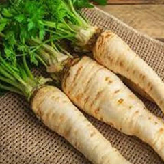 Parsnip Vegetable Seeds