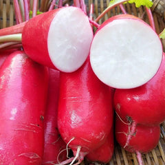 Thumb Fruit Radish Seeds