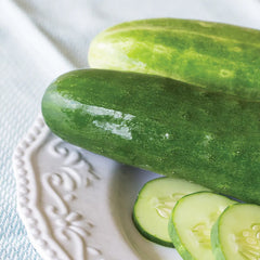 Cucumber, Burpless Beauty