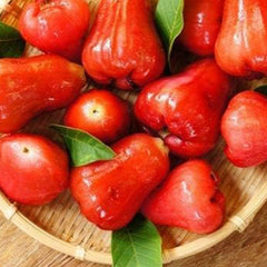 Rose Apple Fruit Seeds