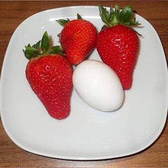 Giant Strawberry Seeds, Sweet Red Strawberry Garden Strawberry Fruit Seeds, for Garden Planting