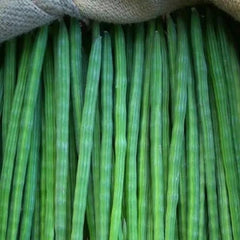 Drumstick Vegetable Seeds