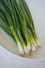 Fukagawa Scallion  500 Seeds - Seedsplant