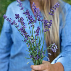 Lavender, Super Blue PPAF