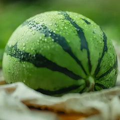 Lazy Seedless Watermelon