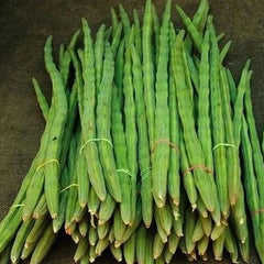 Drumstick Vegetable Seeds