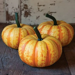 Yellow Beibei Pumpkin Sweet Glutinous BeiBei Mini Chestnut Pumpkin Seeds