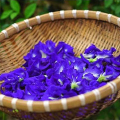 Butterfly Pea Flower Seeds