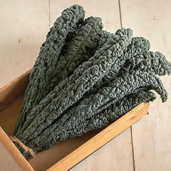 Black Magic Dinosaur Kale Seeds