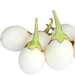 Fresh Eggplant Vegetable Seeds