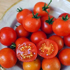 Dwarf Red Robin Tomato Seeds, Sweet, Low Acid, Determinate, Open-Pollinated, Delicious