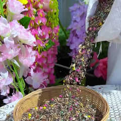 Mixed Perennial Flowers Seeds
