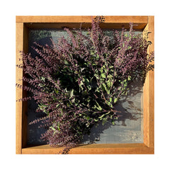 Tulsi / Holy Basil: Rama