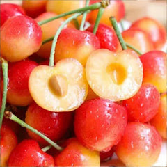 Golden Cherry Seeds