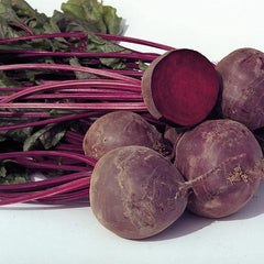 Beet Seeds