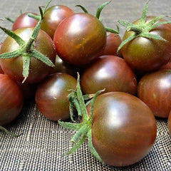 Vegetable Black Cherry Tomato For Planting Non GMO