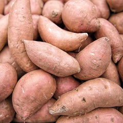 Sweet Potato Seeds Non-GMO Sweet Vegetable Seeds Home Garden Plant Seed for Planting