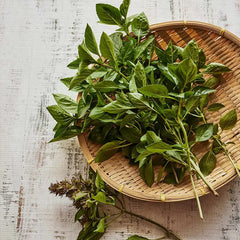 Basil, Batik