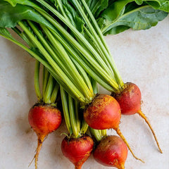 Beet