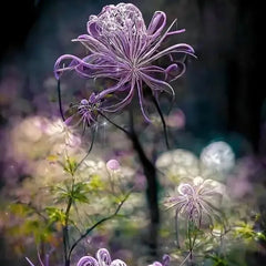 Colorful Spider Lilies- Easy Care