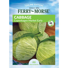 Cabbage, Copenhagen Market Early Seeds, 1.1g