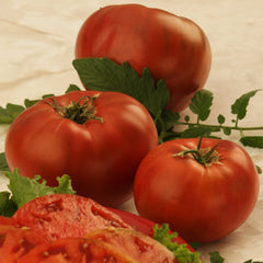 Tomato, Cherokee Purple Heirloom Seeds, 400mg