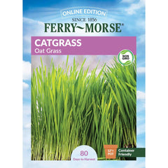 Catgrass Seeds, 2.6g