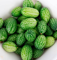 Cucamelon Cucumber 15 Seeds
