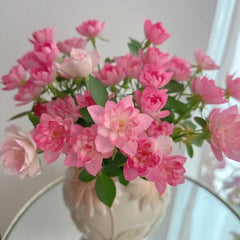 Lotus Star Rose Seeds: Blooming All Year, Bringing Continuous Good Fortune