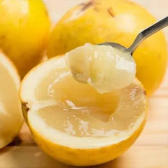 Golden Fruit Seeds Abiu Fruit Pouteria Caimito
