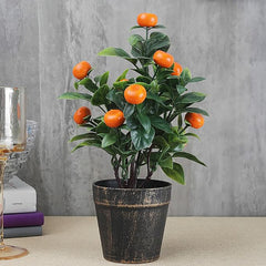 Bonsai Orange Tree Seed Delicious Sweet Fruit Juicy Beautiful Potted Plants Robust Flavor Easy Care