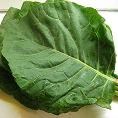 Giant Collard Georgia Southern Seeds Herb Collards
