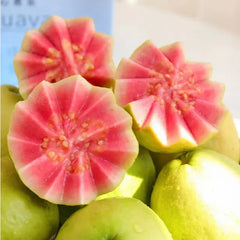 Tropical Strawberry Guava Organic Pink Guava Seeds