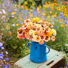 Cresto! Peaches & Cream Zinnia Seeds