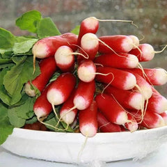 Thumb Fruit Radish Seeds