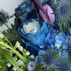 Starry Galaxy Rose - Rare Rose