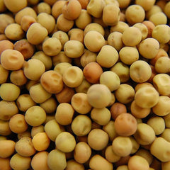 Dun Pea Seeds: Peas Sprouting Seeds for Vegetable Gardening, Cover Crop, Microgreen Pea Shoots