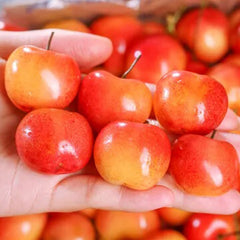 Golden Cherry Seeds