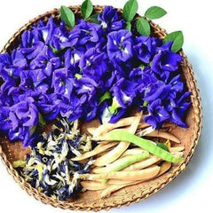 Butterfly Pea Flower Seeds