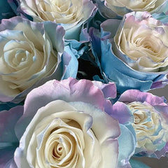Rare Rose - Fairy Tale