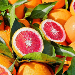 Blood orange tree seeds fast growing juicy non-GMO suitable for patio
