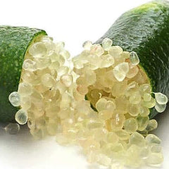 Finger Lime Seeds Non-GMO Low Maintenance  Garden Plant Fruit Seeds