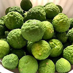 Thai Kaffir Lime Fruit Seeds