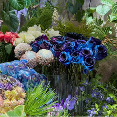 Starry Sky Roses