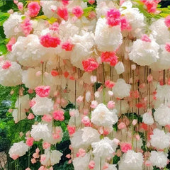 Begonia flower Seeds
