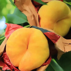 Golden Legend - Golden Peach Seeds